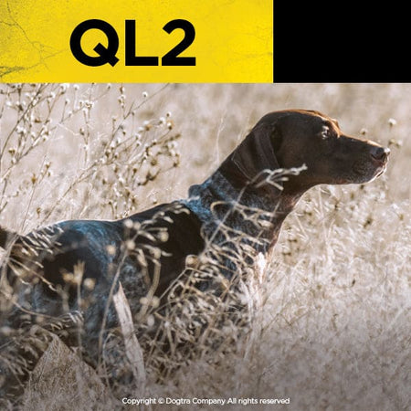 Dogtra Quail Launcher Only - Remote Launchers