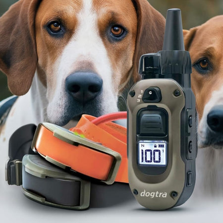 Dogtra Remote Dog Trainer 3/4 Mile 2 Dog System - 1900X-2