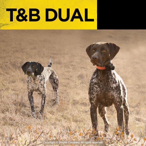 Dogtra T&B Dual 2-Dog Long Range 1.5-Mile Training & Beeper