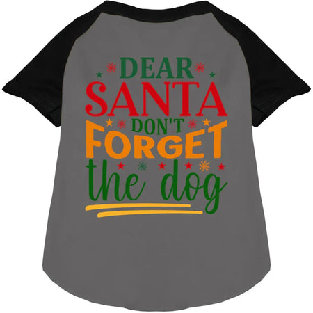 Don’t Forget the Dog! Pet Raglan Shirt - Screen Print Shirts