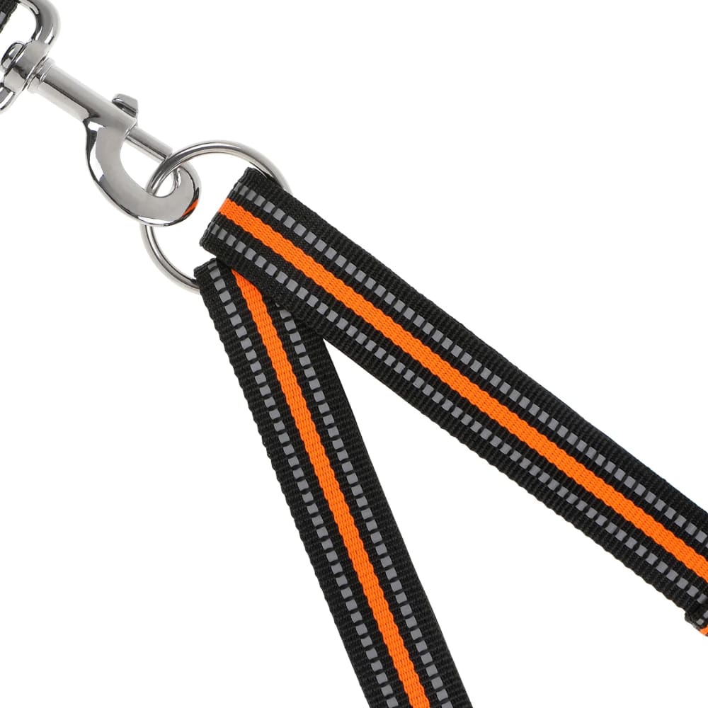 Doog Dual Walker Leash Beethoven - Doog