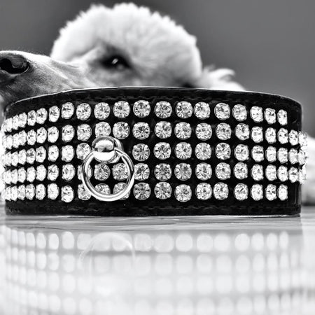 Five Row Clear Crystal Designer Croc Dog Collar - Dog