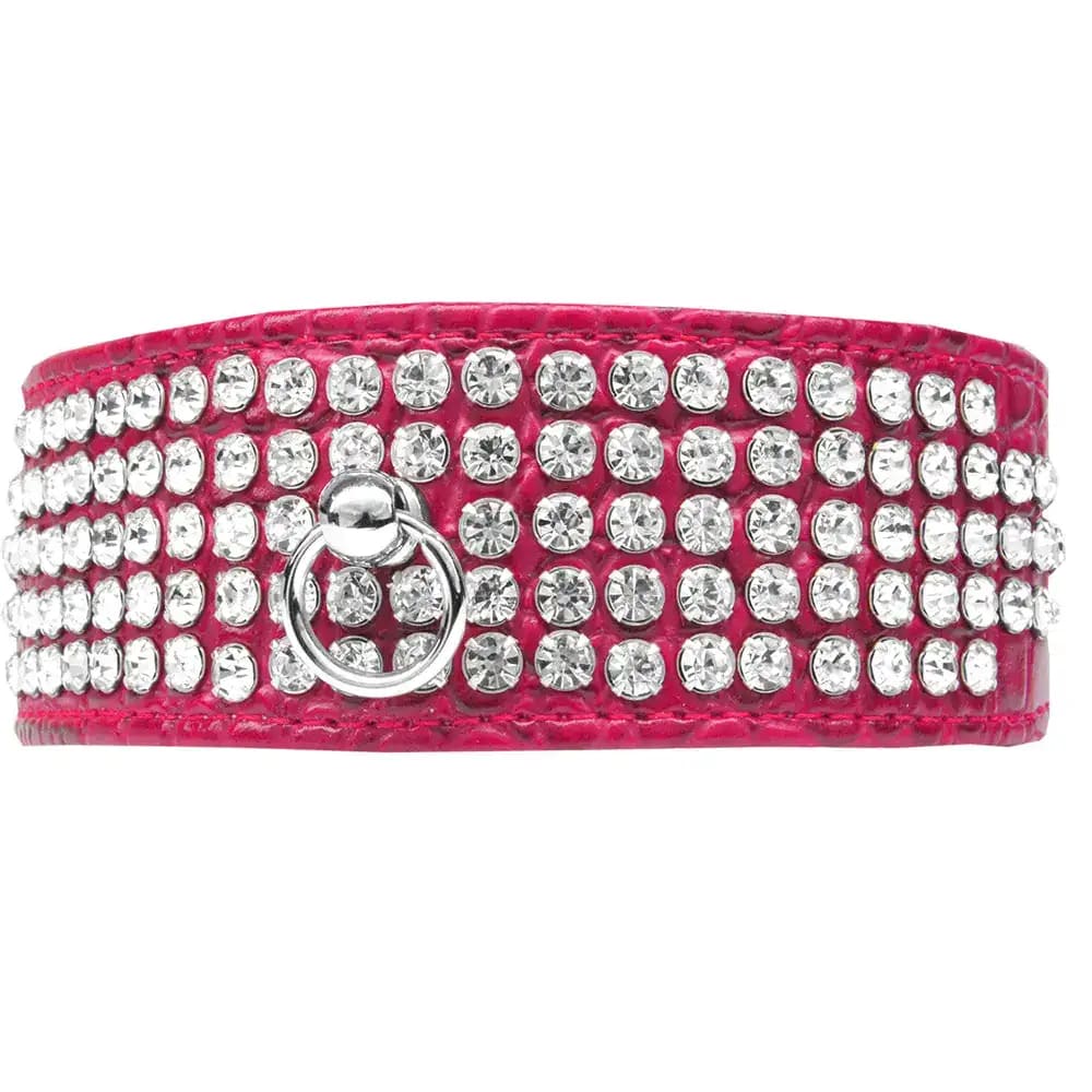 Five Row Clear Cystal Designer Croc Dog Collar - Dog