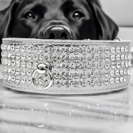 Five Row Clear Cystal Designer Croc Dog Collar - Fits