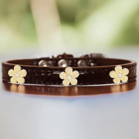 Gold Flower Widget Croc Dog Collar - Dog Collars - Designer