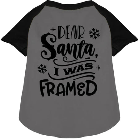 I was Framed! Pet Raglan Shirt - Screen Print Shirts