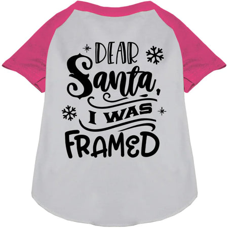 I was Framed! Pet Raglan Shirt - Screen Print Shirts