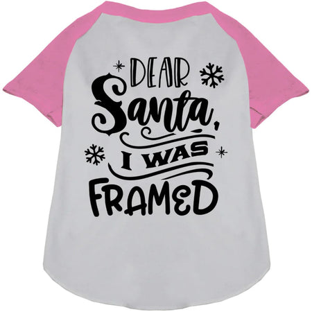 I was Framed! Pet Raglan Shirt - Screen Print Shirts