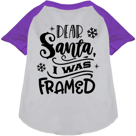 I was Framed! Pet Raglan Shirt - Screen Print Shirts