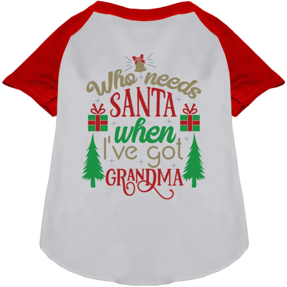 I’ve Got Grandma! Pet Raglan Shirt - Screen Print Shirts