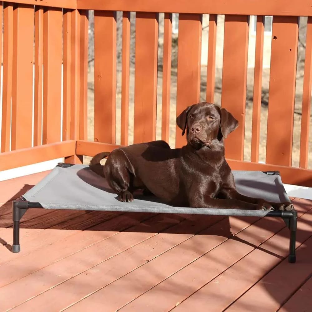 K&H Pet Products All Weather Pet Cot - Elevated Dog Bed