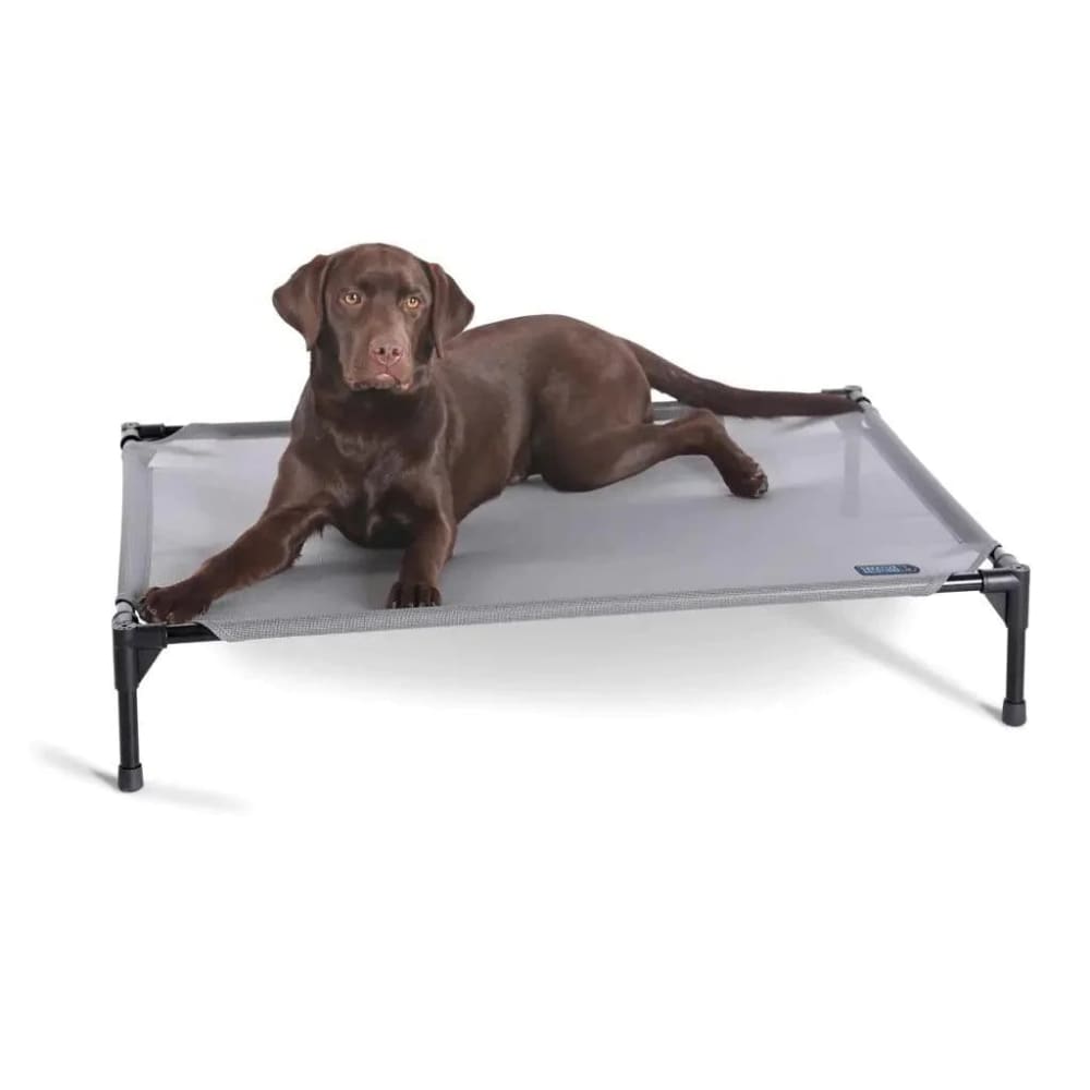 K&H Pet Products All Weather Pet Cot - Elevated Dog Bed