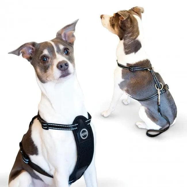 K&H Pet Products Travel Safety Pet Harness Large Black - Dog