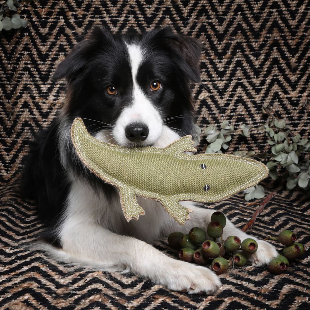 Outback Tails Steve the Cory Crocodile Jute Chew Toy - Doog