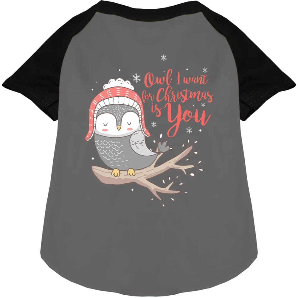 Owl I Want for Christmas Pet Raglan Shirt - Screen Print