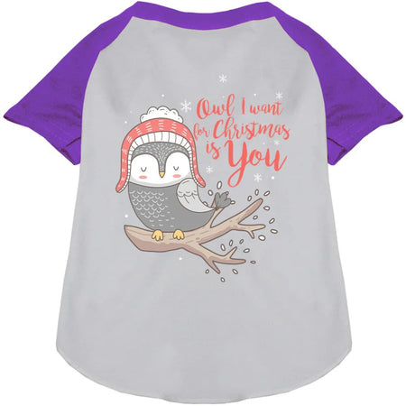 Owl I Want for Christmas Pet Raglan Shirt - Screen Print