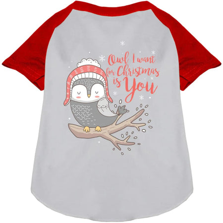 Owl I Want for Christmas Pet Raglan Shirt - Screen Print