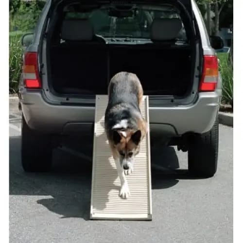 PetStep Folding Dog Ramp - Dog Ramps