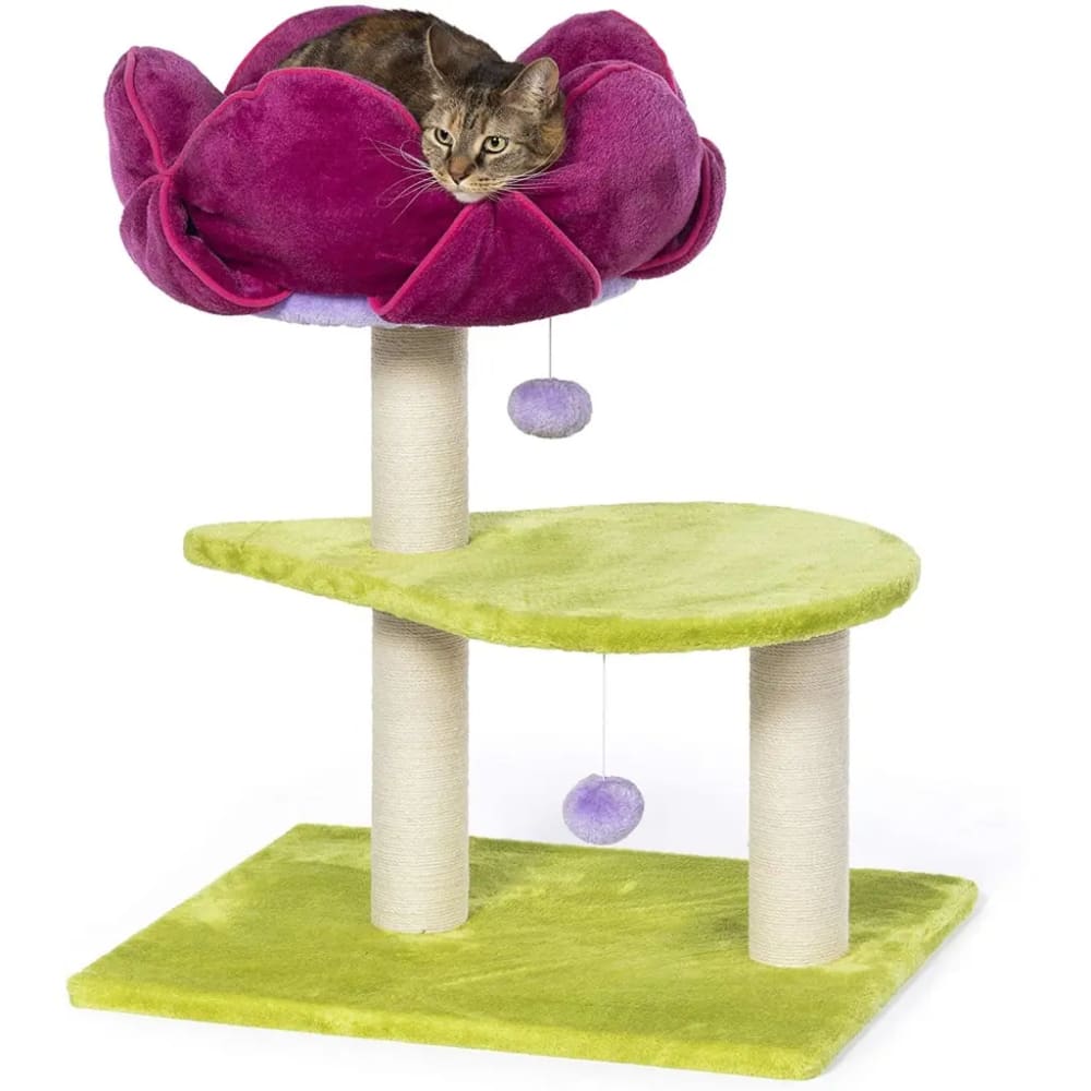 Prevue Pet Products Flower Power - Cat Furniture