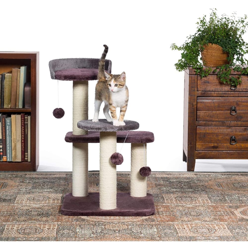 Prevue Pet Products Kitty Power Paws Play Palace - Cat