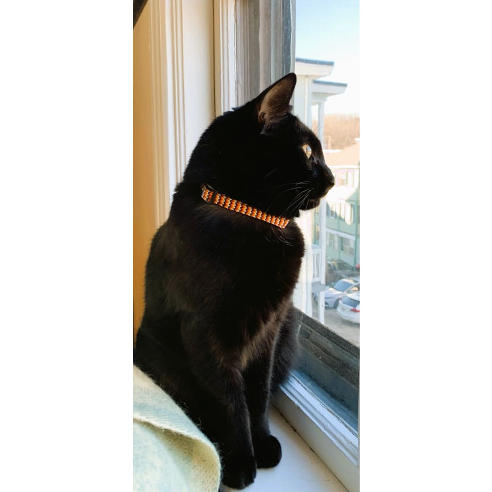 Pumpkin Chevrons Nylon Cat Collar - Cat Collars - Classic