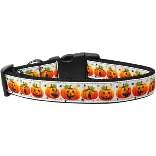 Pumpkin Parade Nylon Dog Collar & Leash - Dog Collars