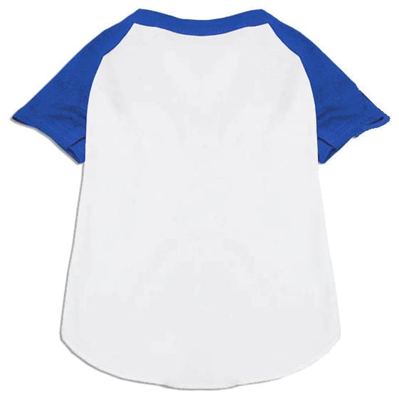 Raglan Baseball Team Pet Shirt ’Custom Names & Numbers’