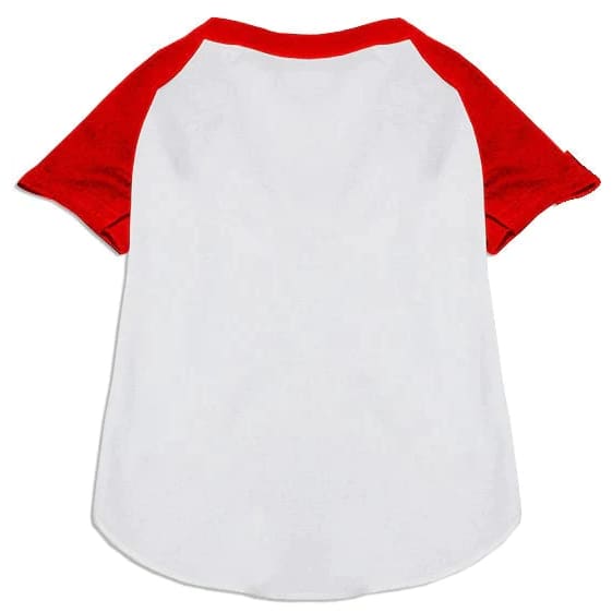 Raglan Baseball Team Pet Shirt ’Custom Names & Numbers’