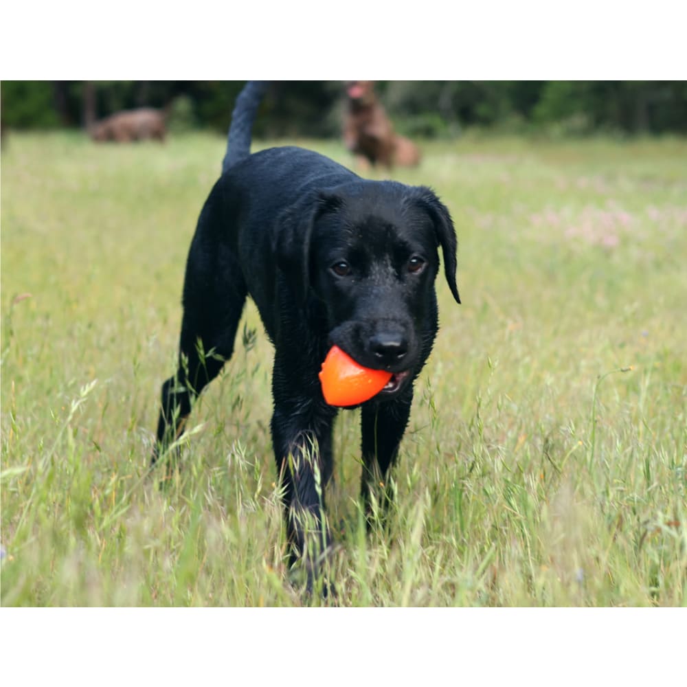 Ruff Dawg Football Dog Toy - Toss and Retrieve