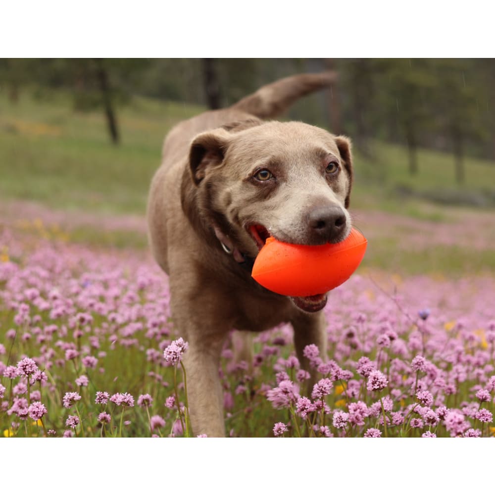 Ruff Dawg Football Dog Toy - Toss and Retrieve