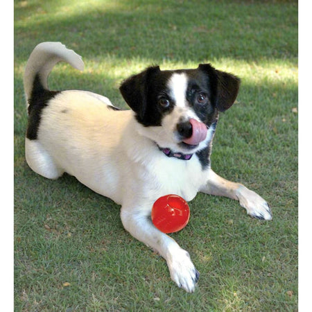 Spot “Play Strong” Rubber Ball Dog Toy - Large - Toss