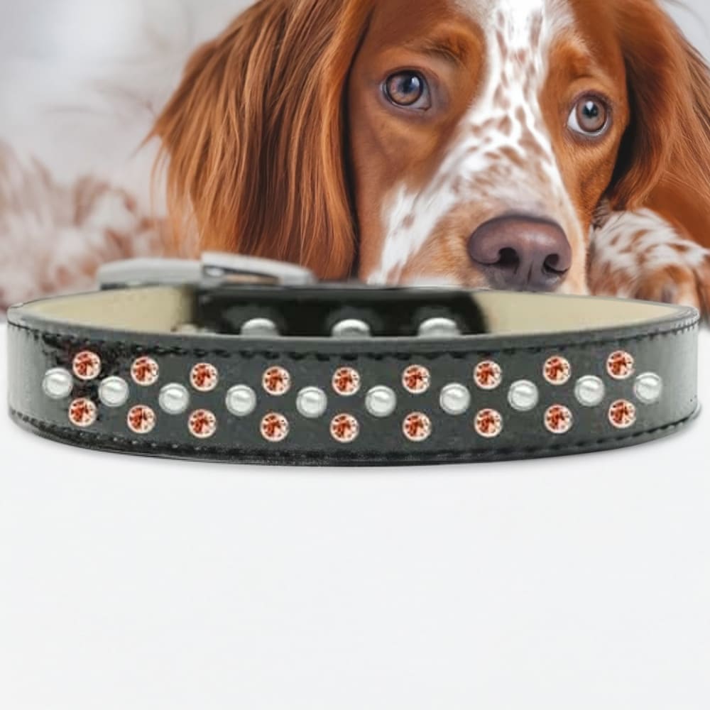 Sprinkles Ice Cream Dog Collar Pearl and Orange Crystals