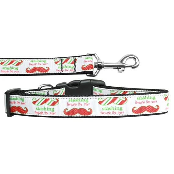 Stashing Through the Snow Nylon Dog Collars and Leashes