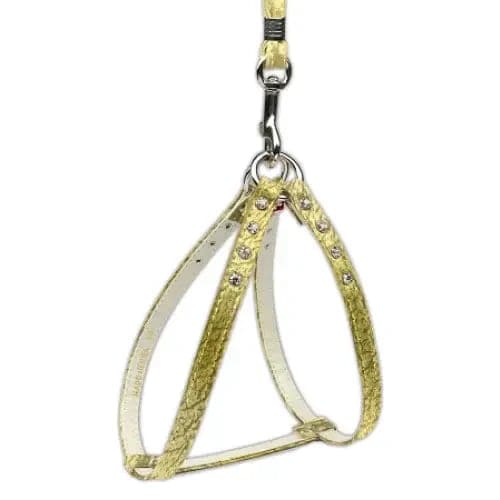 Step-in Dog Harness w/ Matching Stones & Optional Leash