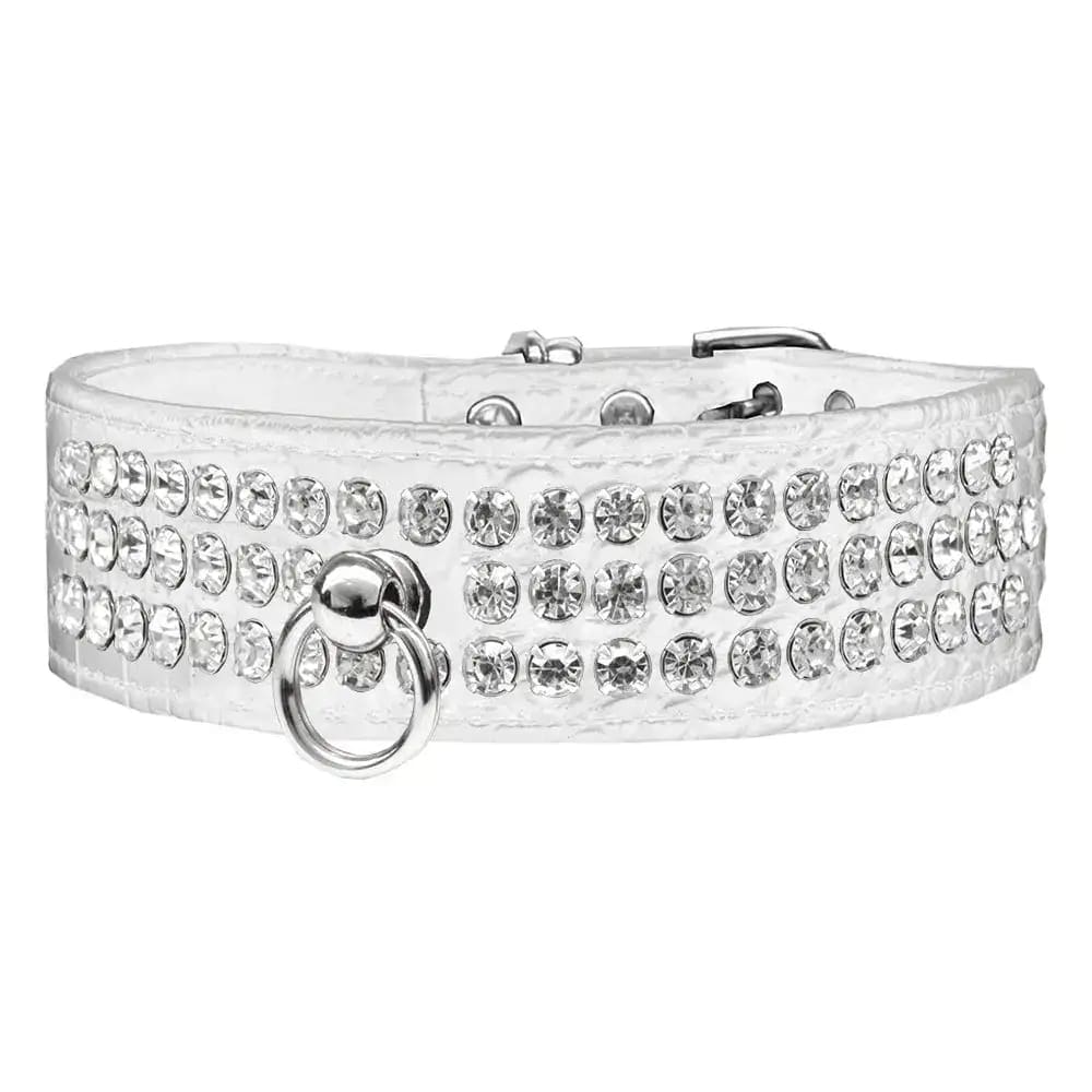 Style #73 Rhinestone Designer Croc Dog Collar - Dog Collars