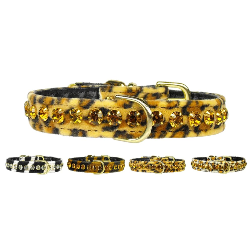 Tropical Dazzler Crystal Jewelry Set Dog Collar - Dog