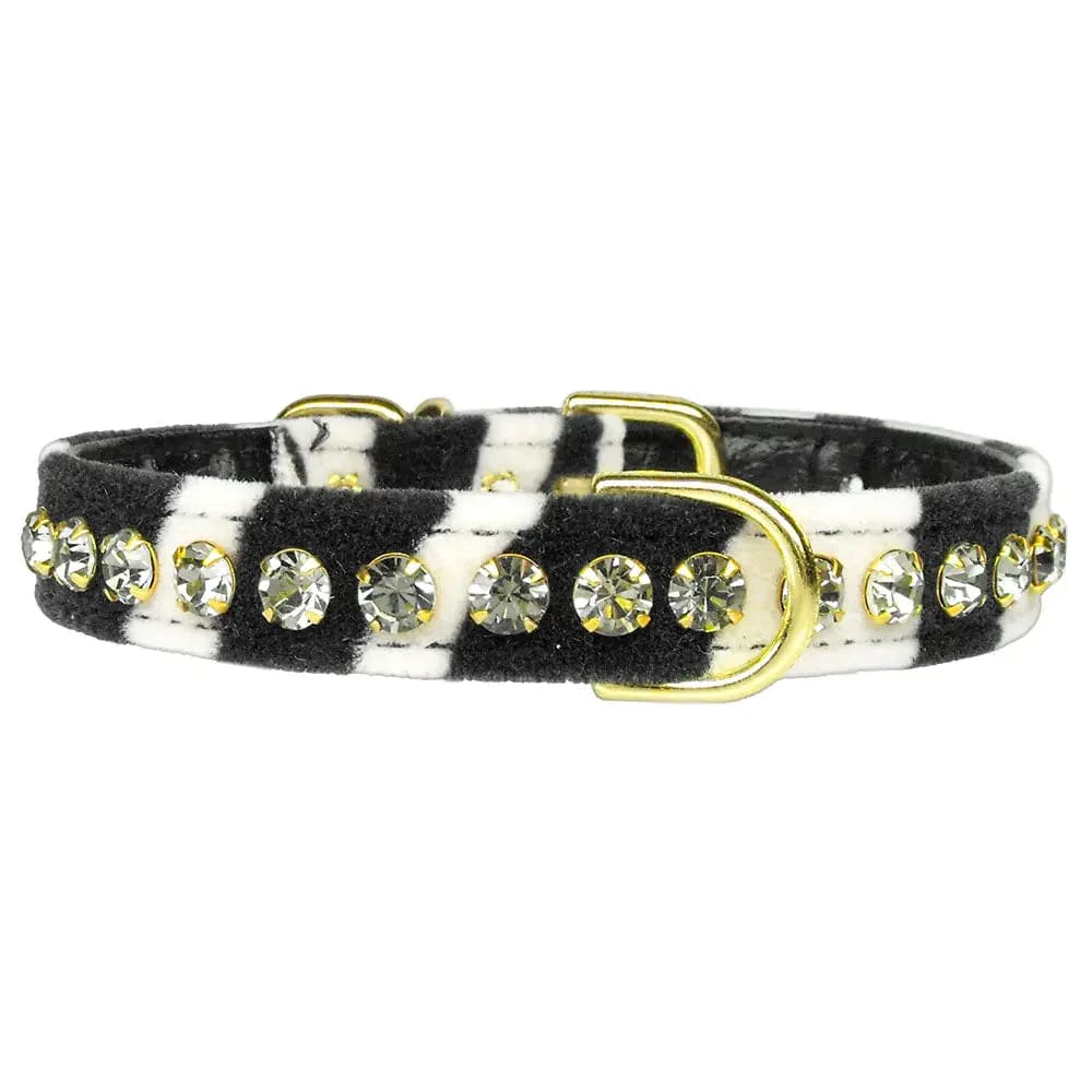 Tropical Dazzler Crystal Jewelry Set Dog Collar - Dog