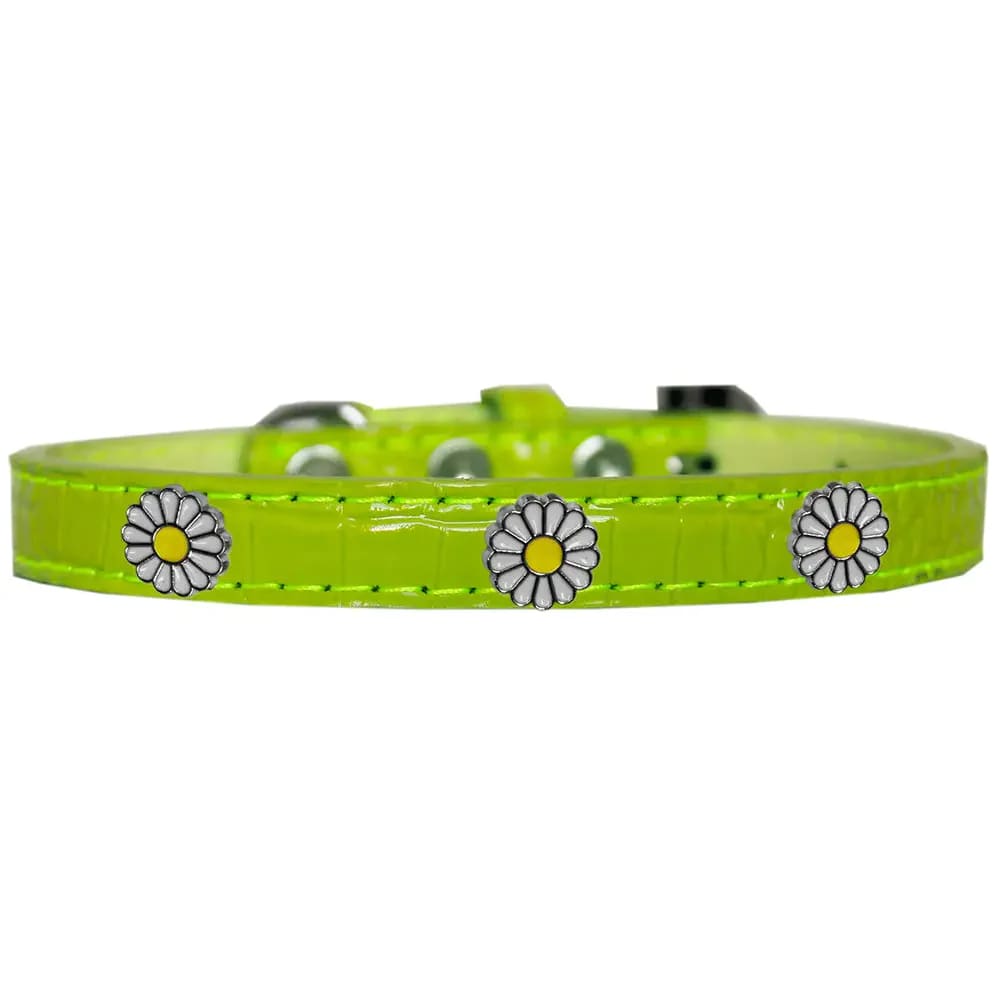 White Daisy Widget Croc Dog Collar - Dog Collars - Designer