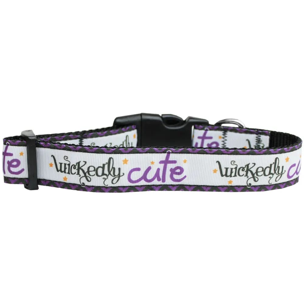 Wickedly Cute Nylon Pet Collars and Leash - Dog Collars