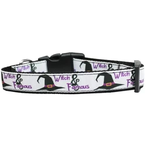 Witch And Famous Nylon Cat Collar - Halloween