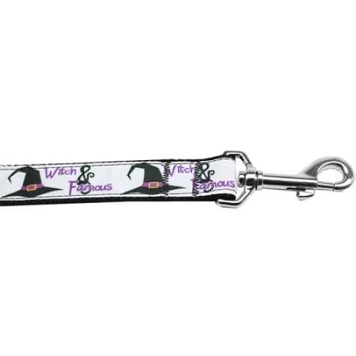 Witch And Famous Nylon Dog Collars & Leashes - Halloween