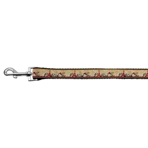 With Love from Paris Nylon Dog Collars and Leash - Dog