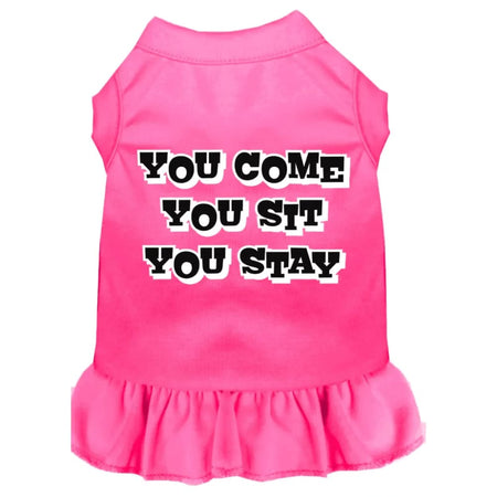 You Come You Sit You Stay Screen Print Dog Dress - Screen